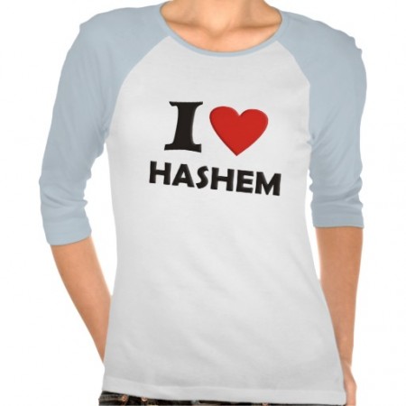 i_love_hashem_tees-re468f4602dbc4f608d856d4e5927b613_vjfy9_512