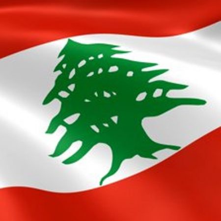 صور العلم اللبناني (3)