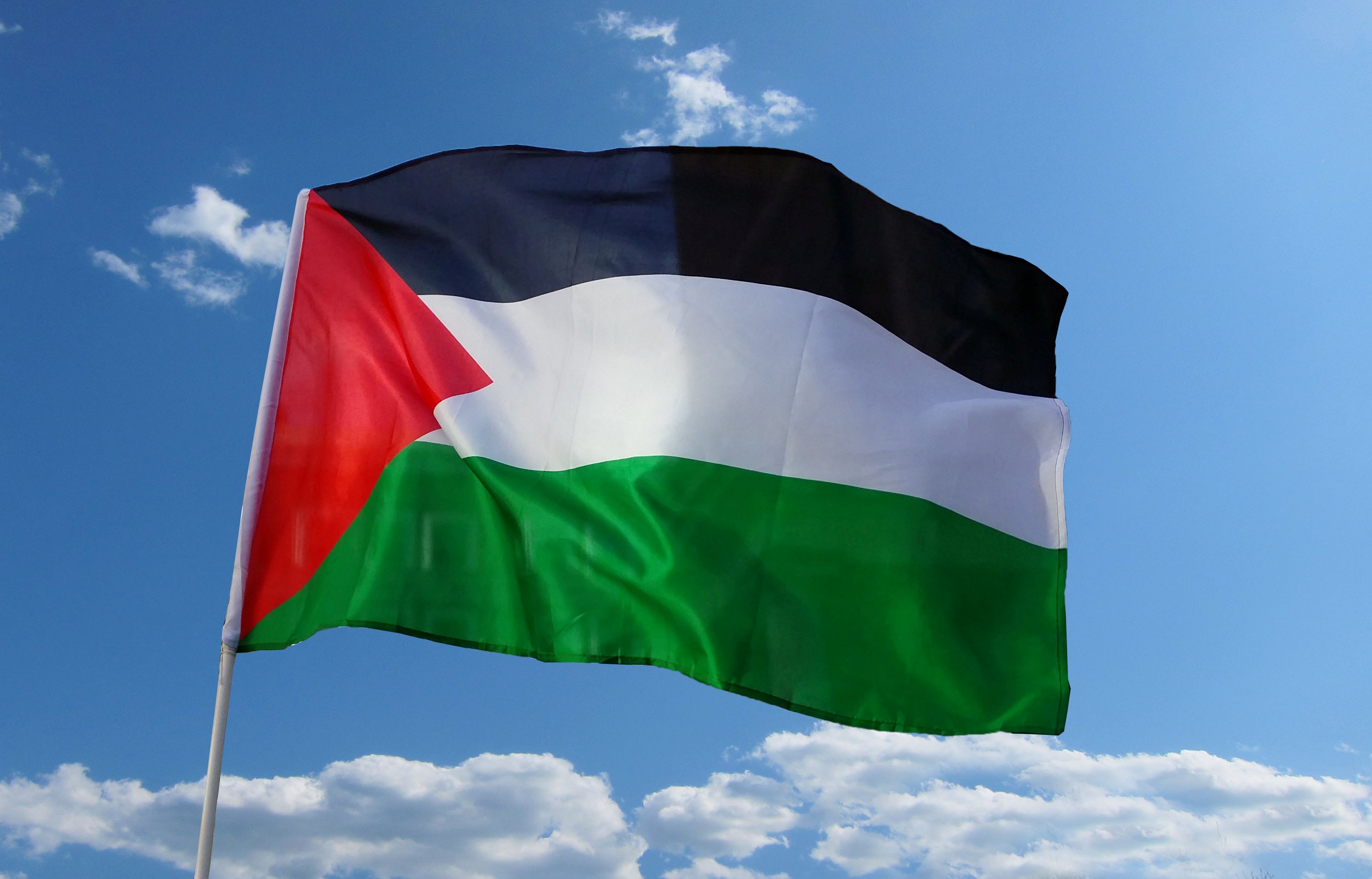 صور علم فلسطين رمزيات وخلفيات العلم الفلسطيني ميكساتك