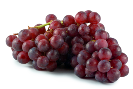 grapes photos (1)