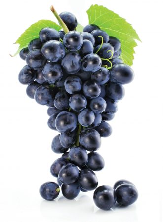 grapes photos (2)