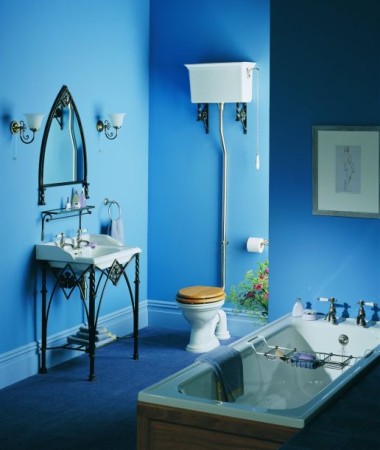 حمامات صغيرة باللون الازرق