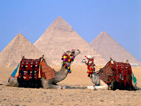 الاهرامات والجيزة والجمال في مصر