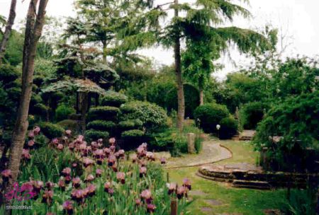 ديكور حدائق منزلية