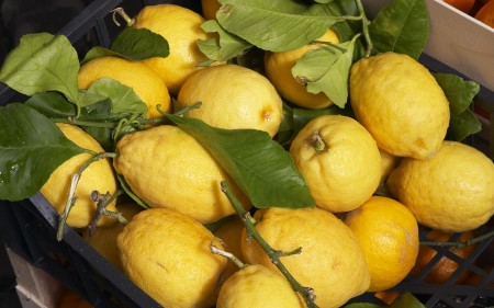 الليمون (4)