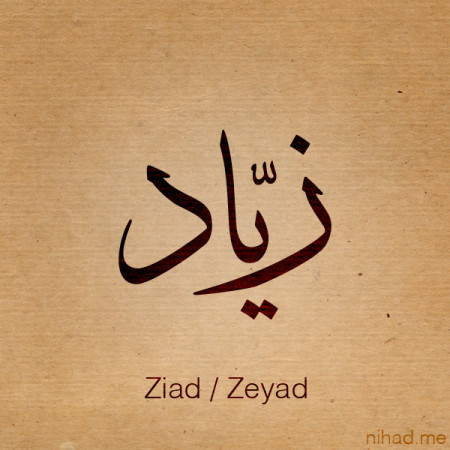 تصميمات اسم زياد (2)