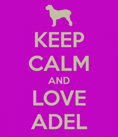 keep calm and love adel (3)