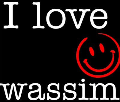 i-love-love-wassim-131293601066
