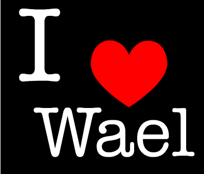 wael love (2)