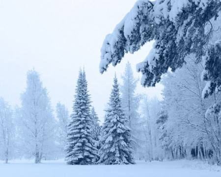 صور الشتاء والثلوج (1)