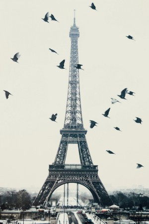 صور برج ايفل بجودة Hd خلفيات لبرج ايفل في باريس ميكساتك