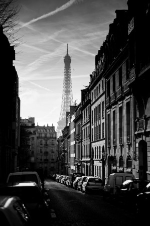 برج إيفل باريس (2)