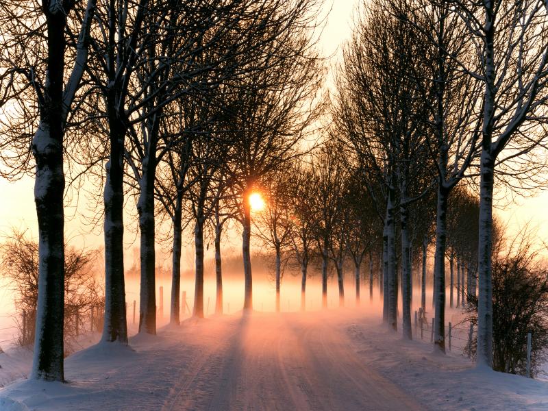 صور عن الشتاء أحلي خلفيات وصور لفصل الشتاء بجودة HD ميكساتك