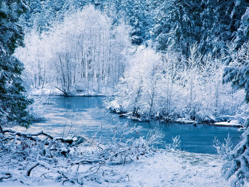 صور الشتاء  (3)