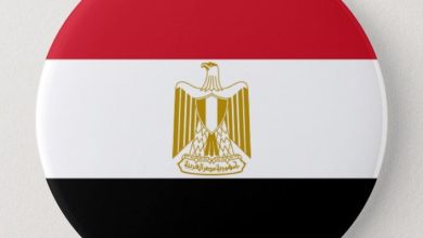 صور العلم المصري 2