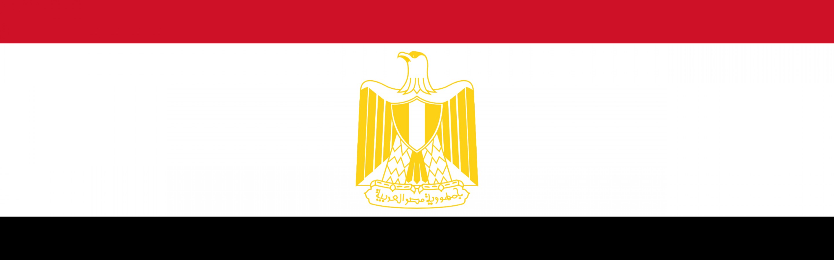 صورة علم مصر  (1)