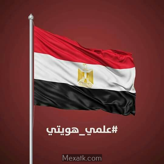 علم مصر صور 3