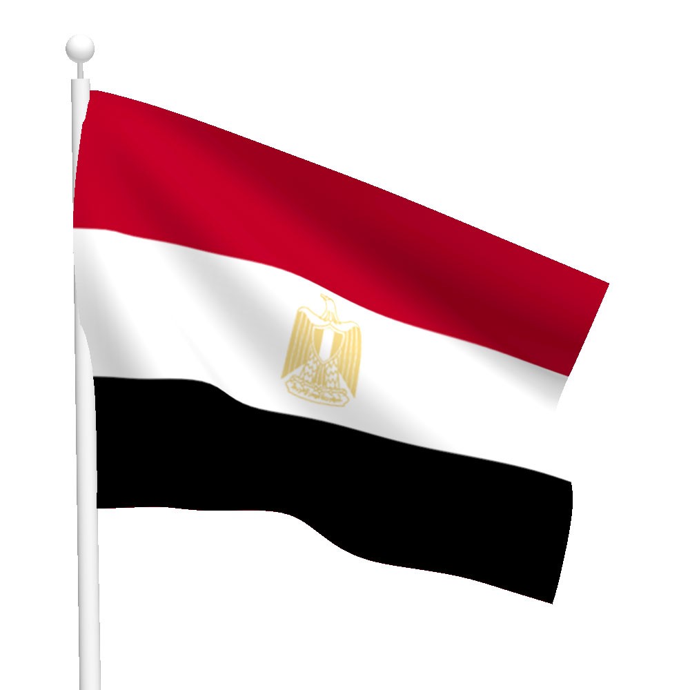 العلم المصري بالصور (1)