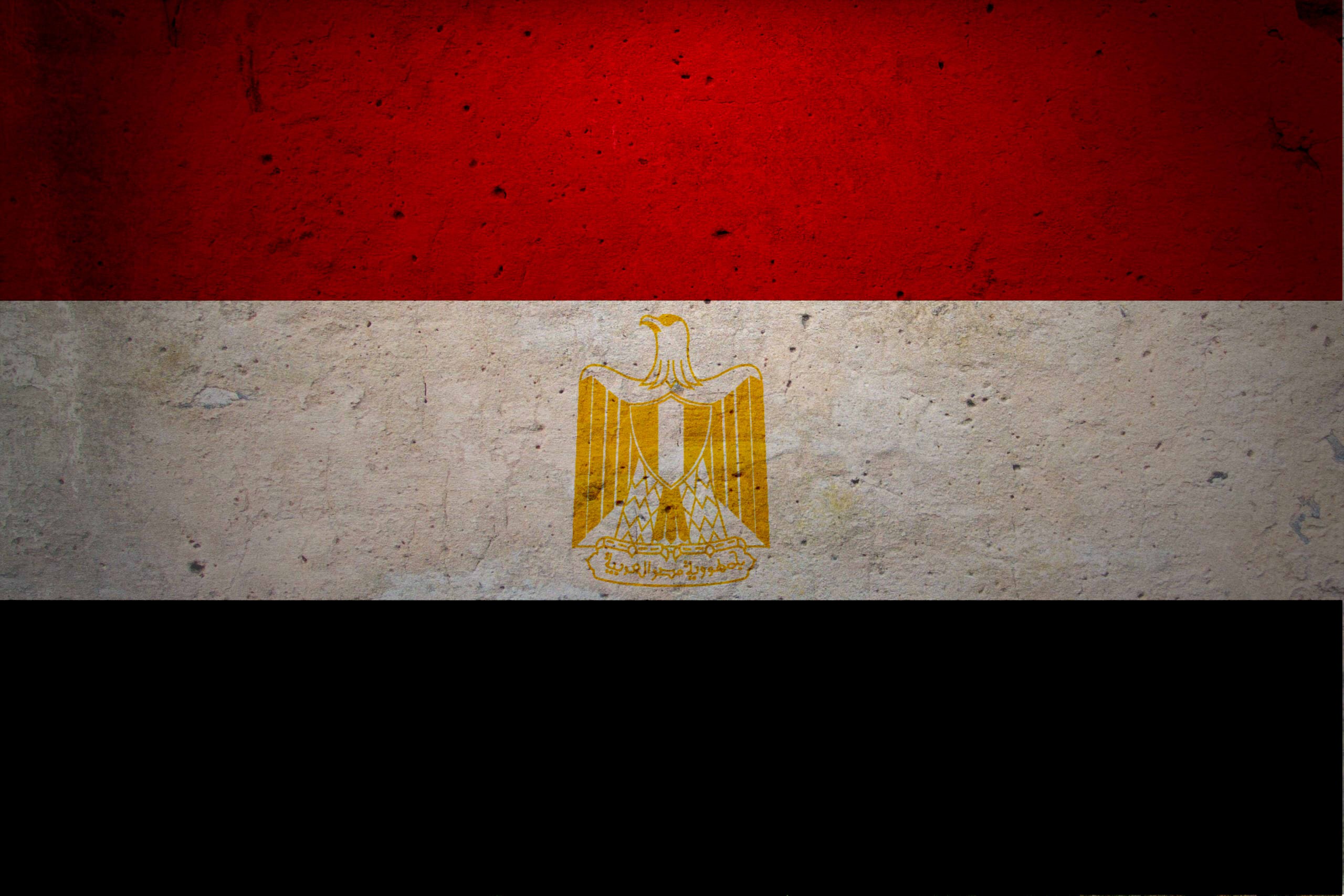 العلم المصري بالصور (1)