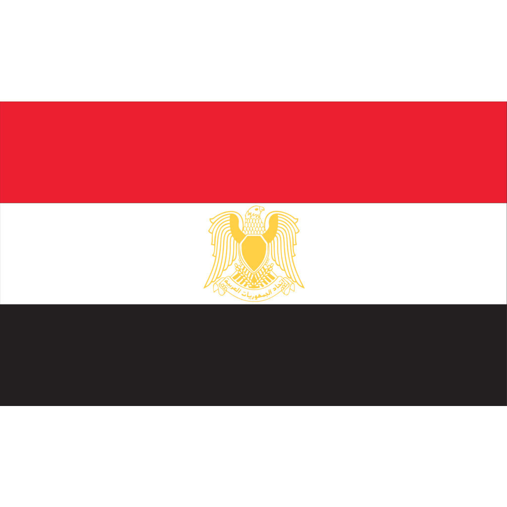 صور تصميمات علم مصر (1)