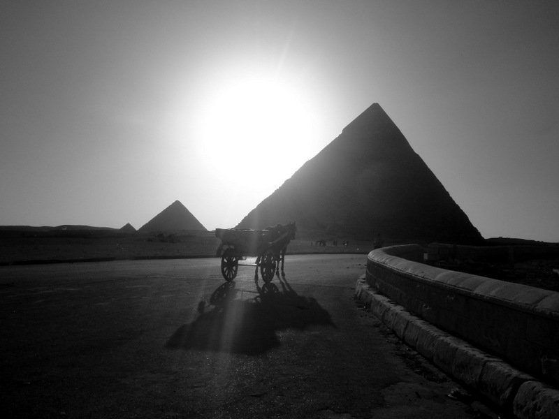 صور مصرية جميلة جدا (4)
