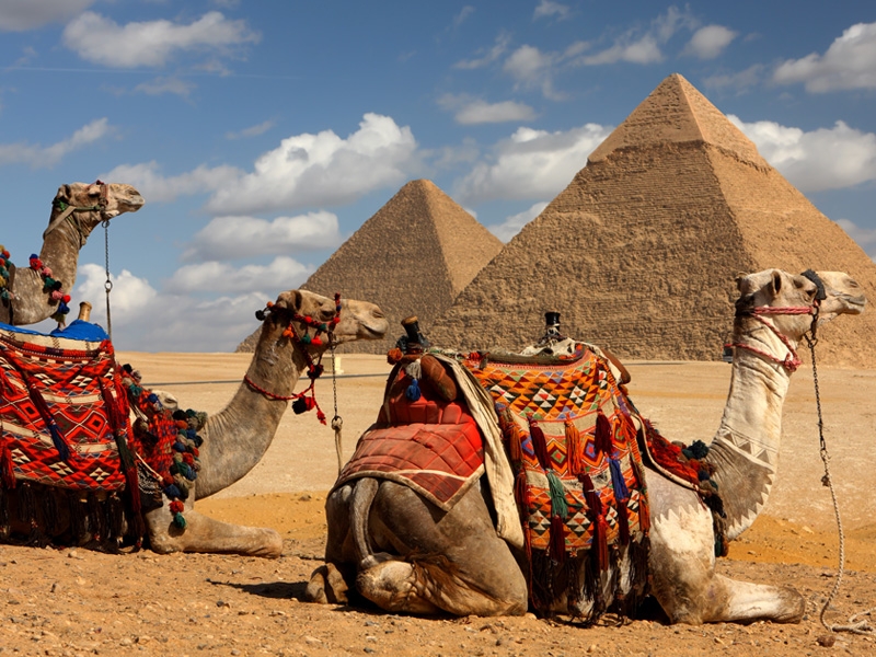 صور من مصر  (4)