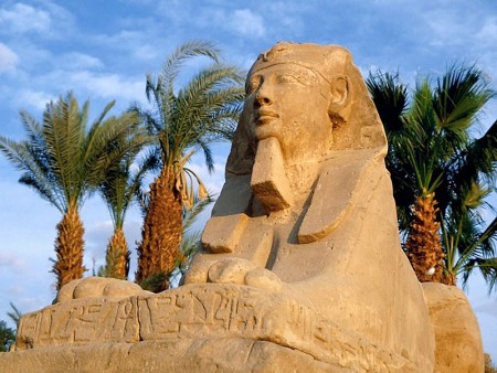 صور مصرية (4)