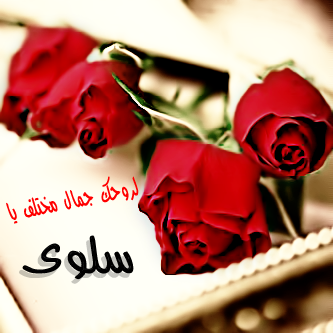 Salwa Photos (1)