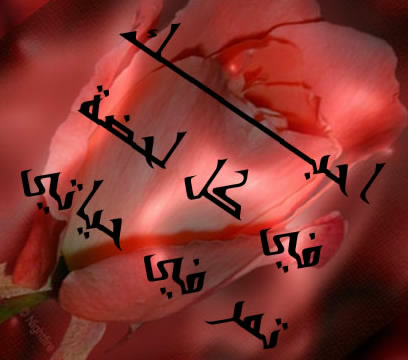 Image result for ‫صور مكتوب عليها كلمة بحبك‬‎