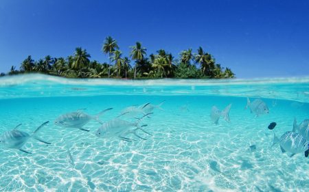 صور جزر المالديف أجمل المناظر الطبيعية والبحار والمحيطات (1)