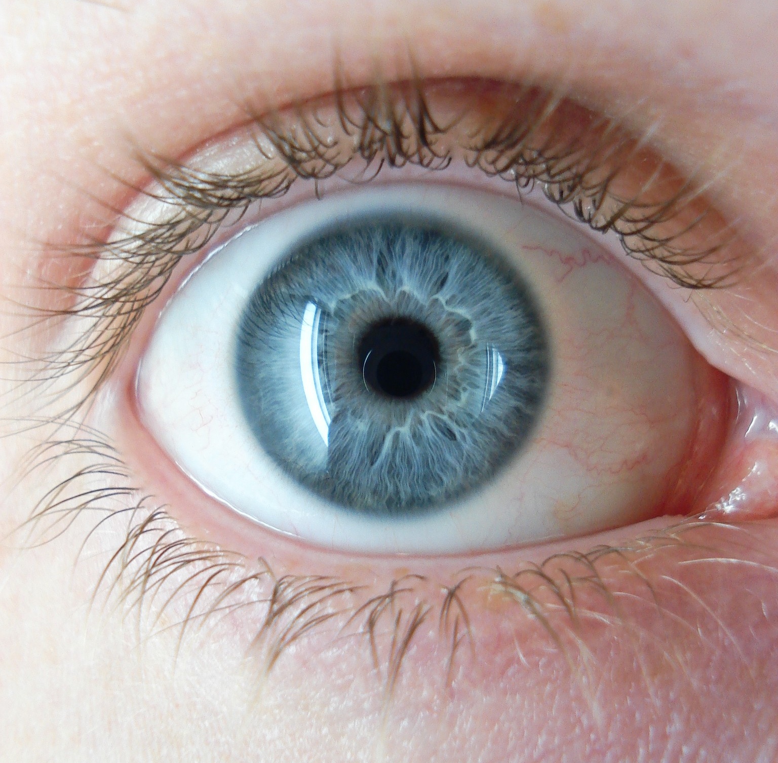 اجمل عيون زرقاء (2)