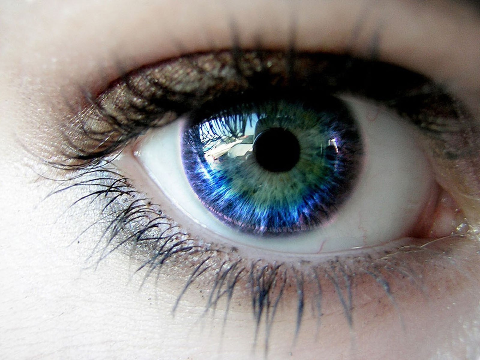 اجمل عيون زرقاء (3)