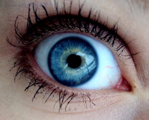 صور عيون زرقاء احلي رمزيات عيون اطفال باللون الازرق (3)