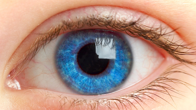 عين زرقاء (2)
