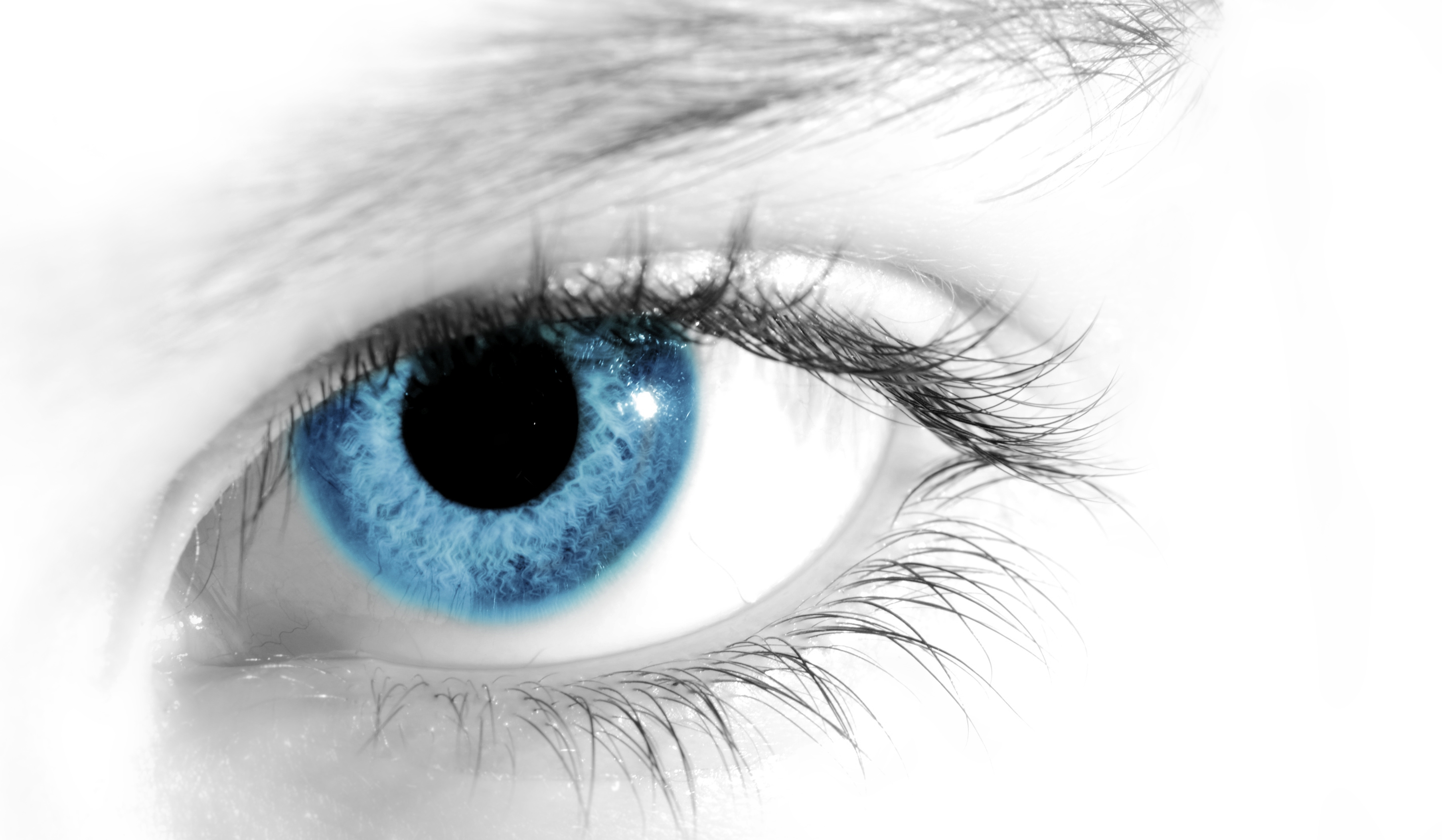 عيون باللون الازرق (2)