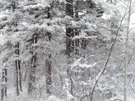 صور تعبر عن الشتاء (4)