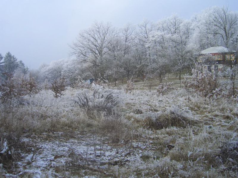 احلي صور من الشتاء (2)