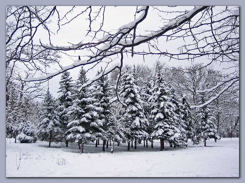 صور تعبر عن الشتاء (2)