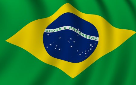 Brazil Flag (4)