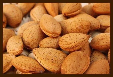 almonds photos (3)