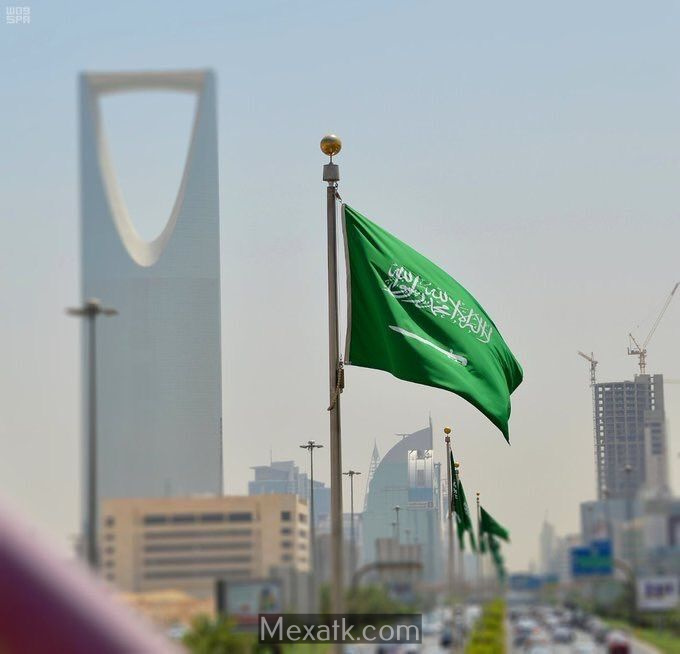 saudi arabia flag 3