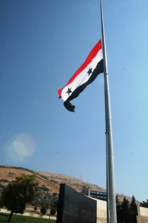 احلي علم سوريا (2)