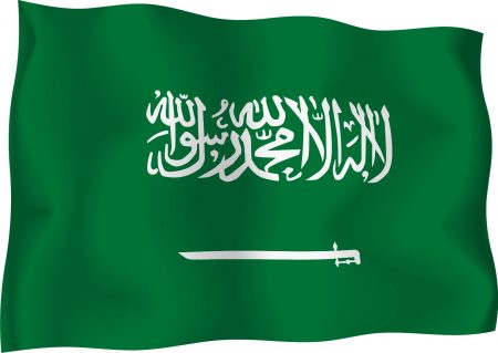 العلم السعودي بالصور (2)