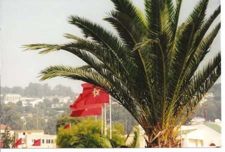 رمزيات العلم المغربي (3)