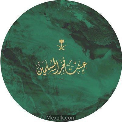 رمزيات علم السعودية 3