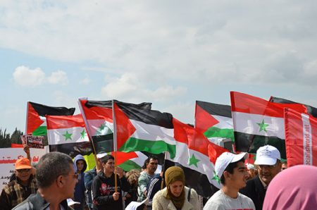 صور العلم السوري (3)