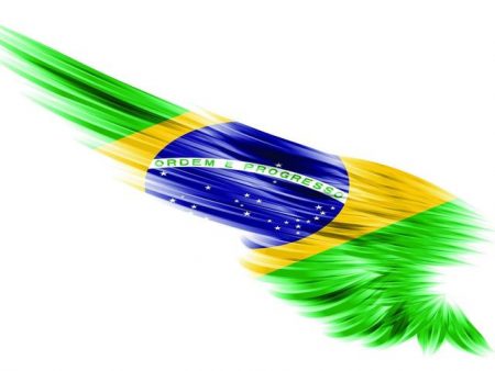 صور علم البرازيل (3)