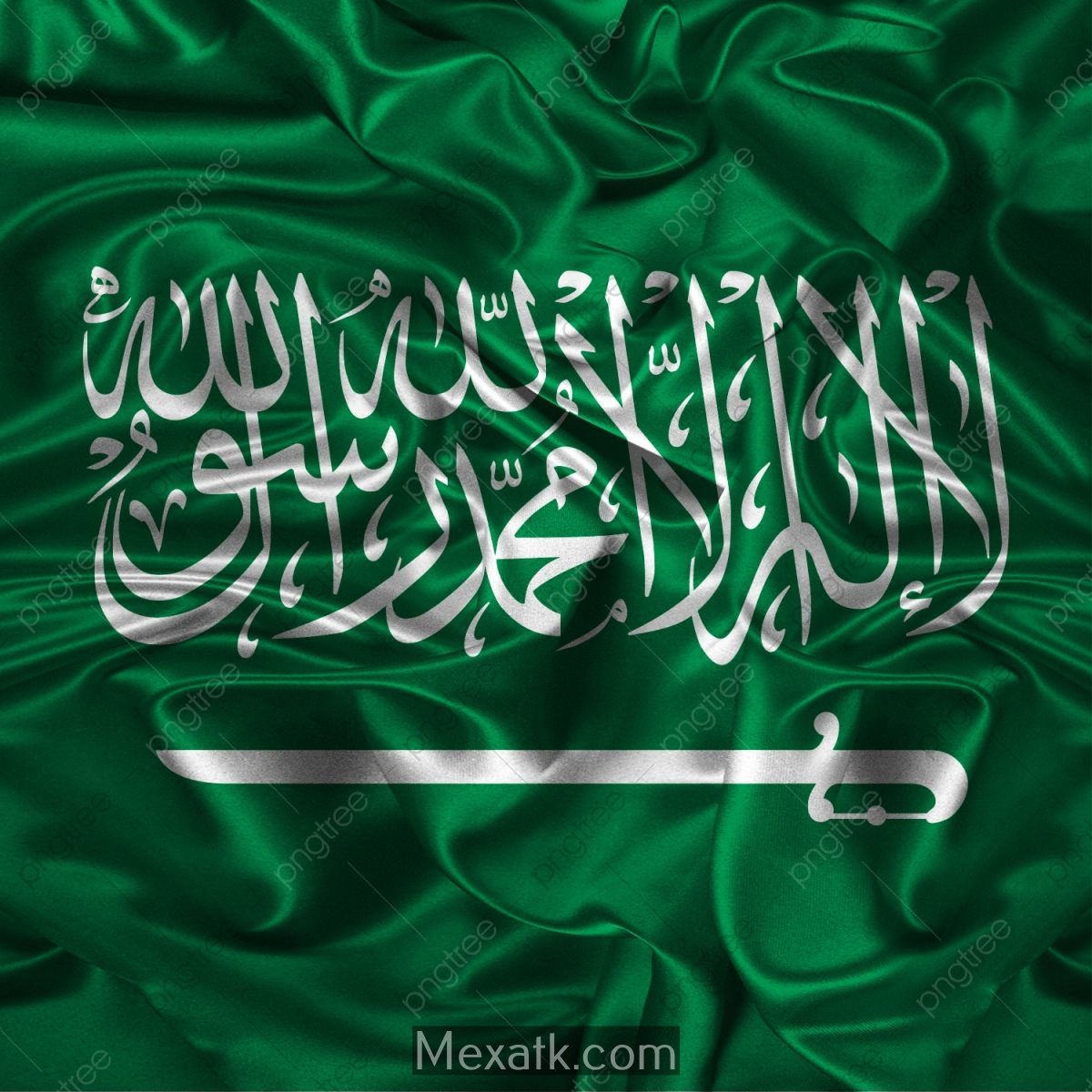 صور علم السعودية 3