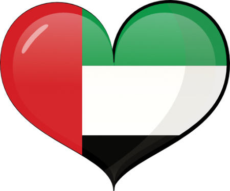 علم دولة الكويت (2)