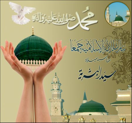 صور المولد النبوي (1)